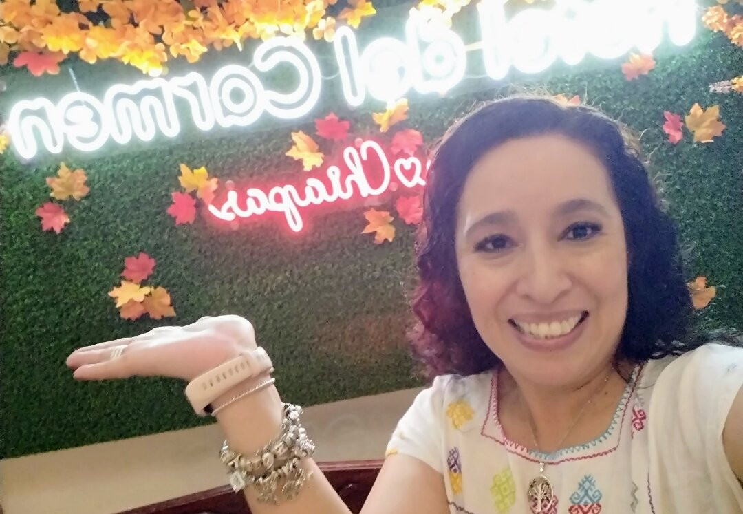 Hotel Del Carmen主图