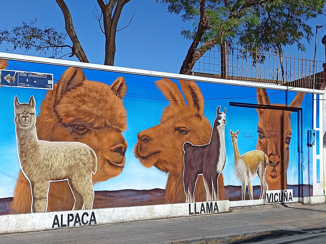 Plaza de Armas-Calama必去景点