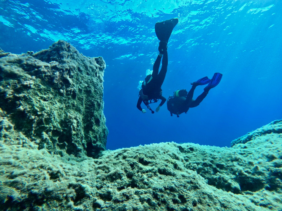 Coral Bay Divers-帕福斯必去景点