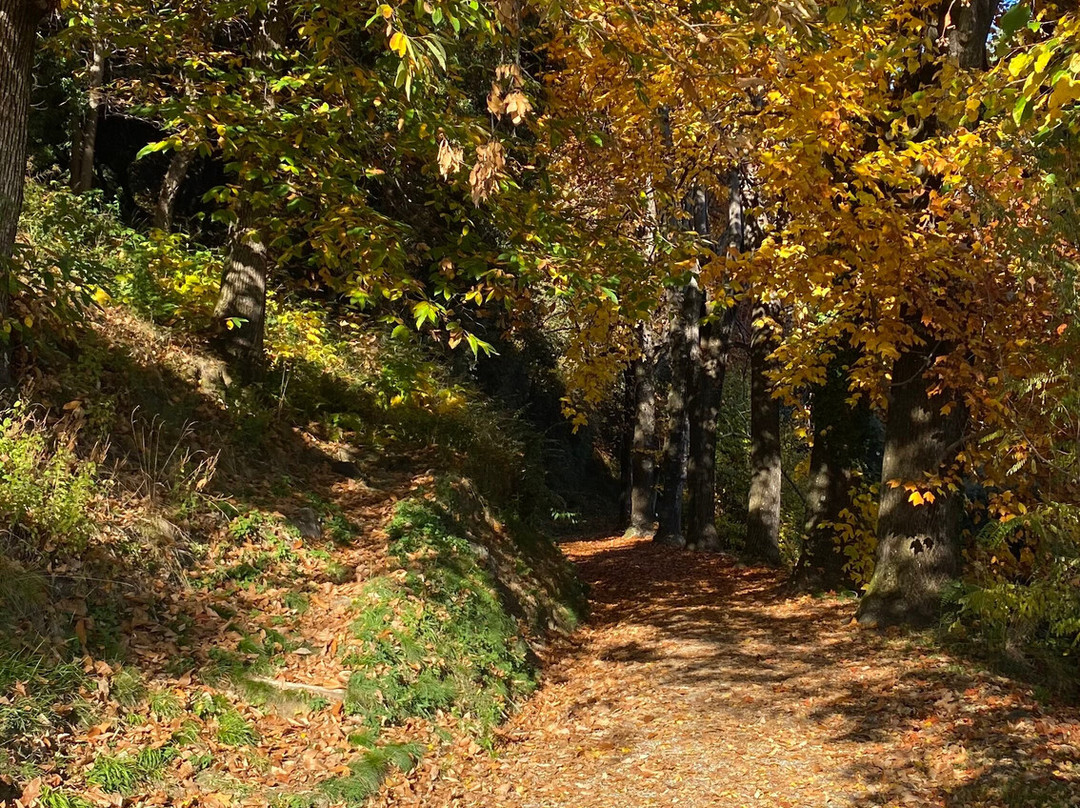 Parco della Burcina-Pollone必去景点