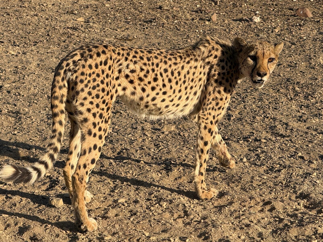 MilleMonti-布雷西亚必去景点