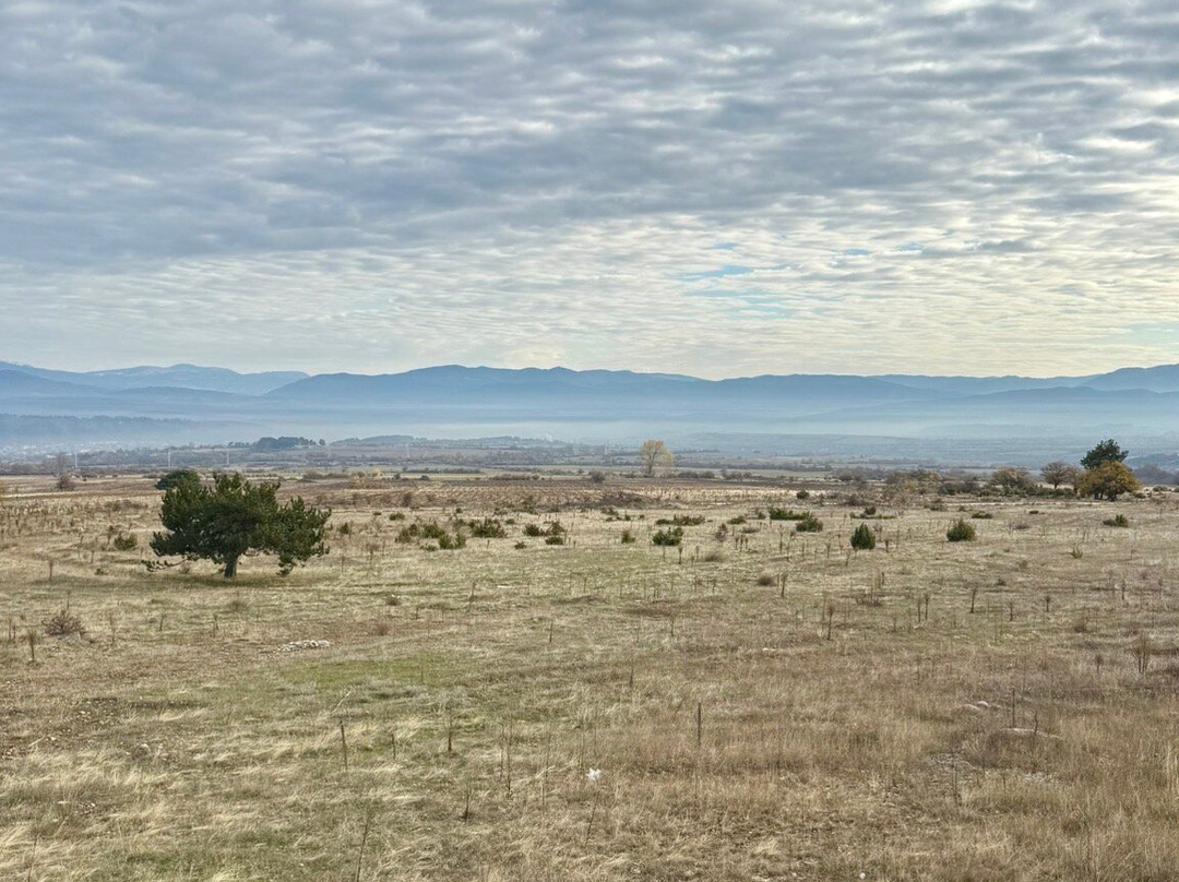 Cornelia Deluxe Residence主图