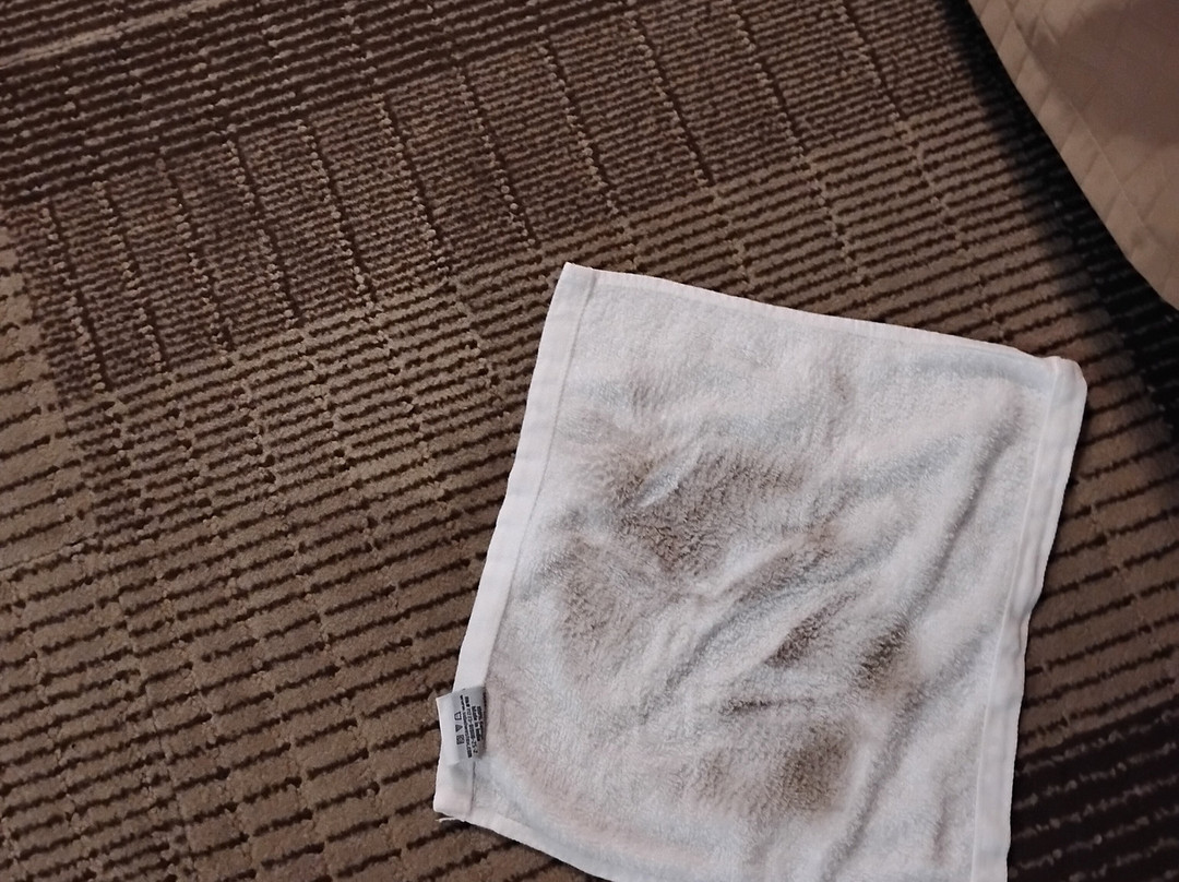 西斯普林菲尔德希尔顿恒庭酒店主图