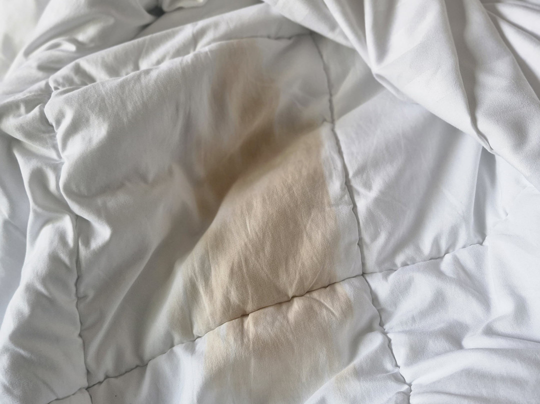 巴斯琛哥罗普酒店主图