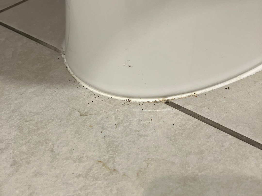 Fairfield by Marriott Inn & Suites Cincinnati Airport South/Florence主图