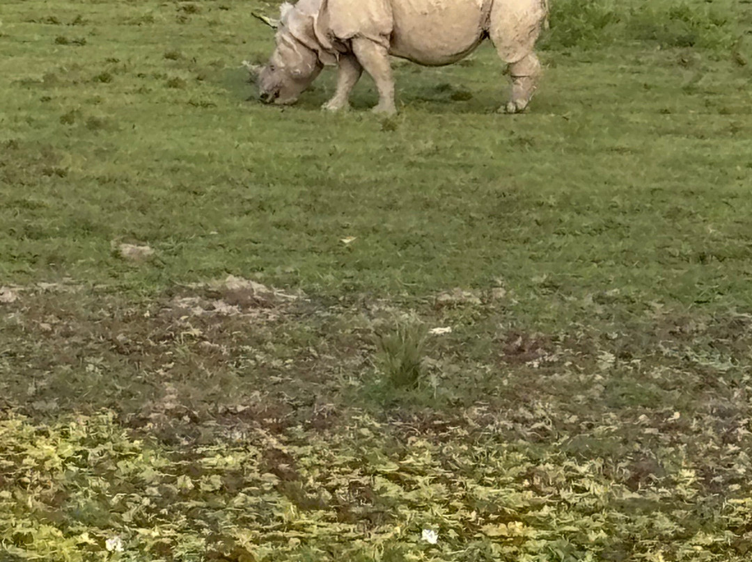 Kaziranga National Orchid And Biodiversity Park-Hatikhuli必去景点