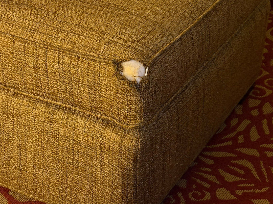 哥伦布机场万豪酒店主图