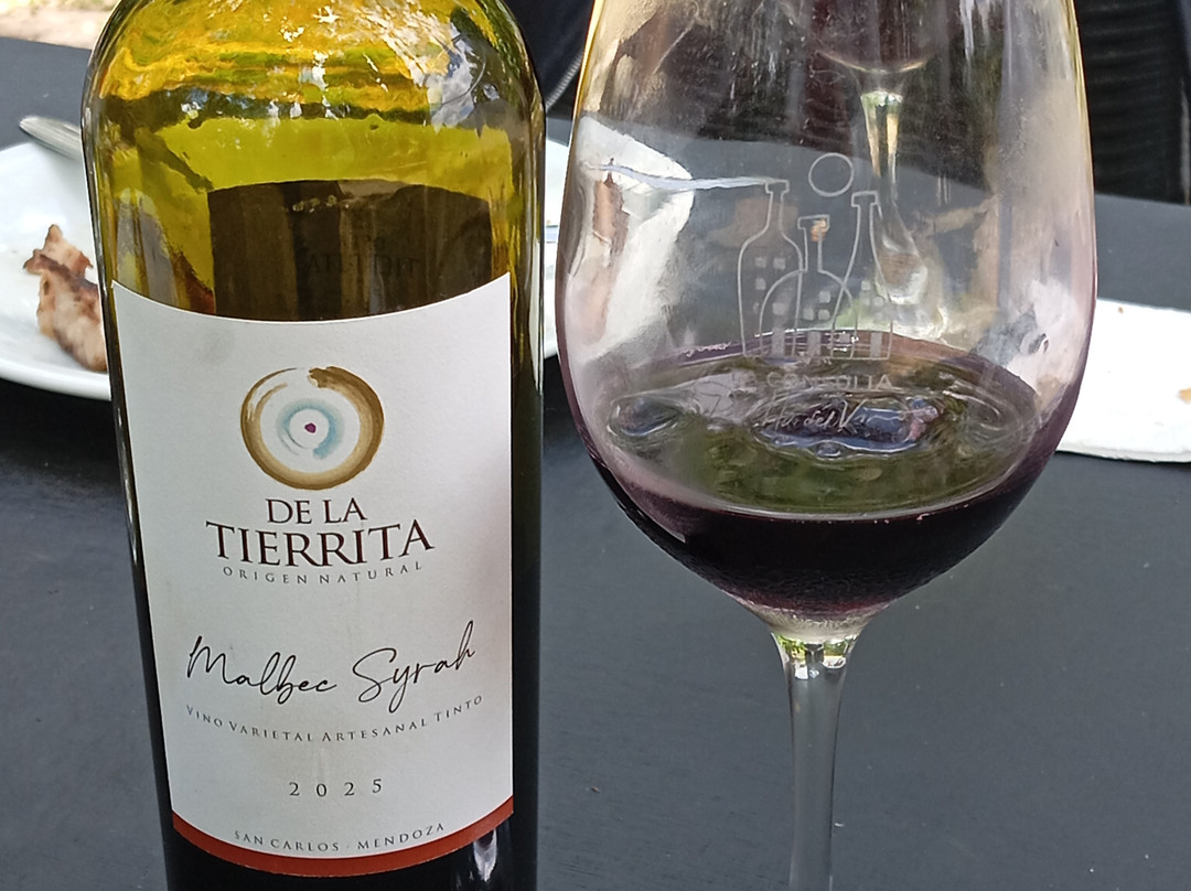 Bodega Familiar Agroecológica De La Tierrita-Eugenio Bustos必去景点