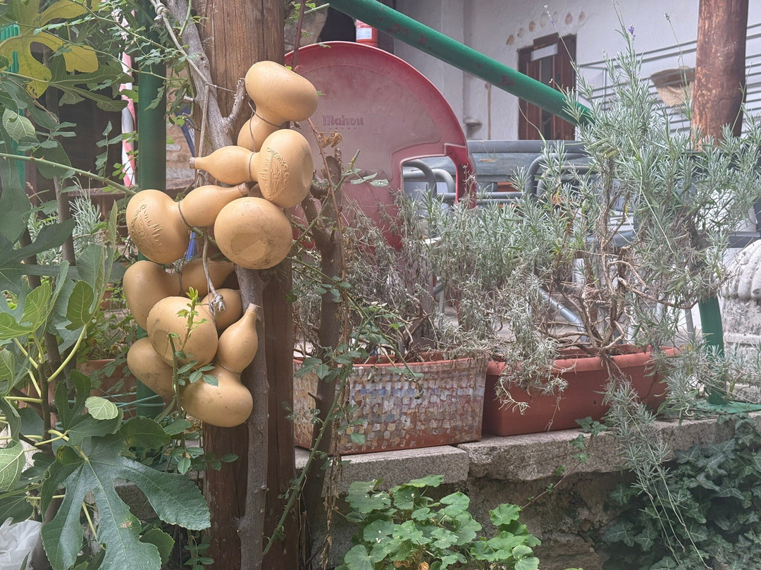 Albergue Ave Fenix主图