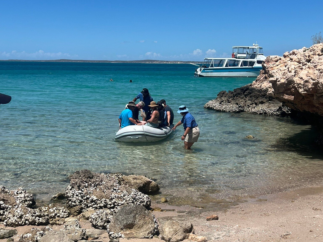Ocean Park Aquarium-德纳姆必去景点