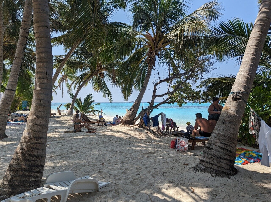 Maldivian Charter Club