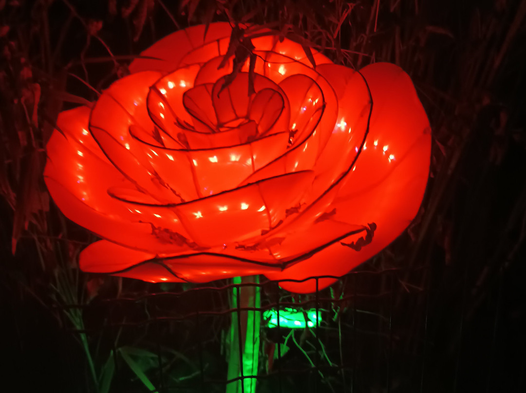 Zoo de Jurques-Jurques必去景点