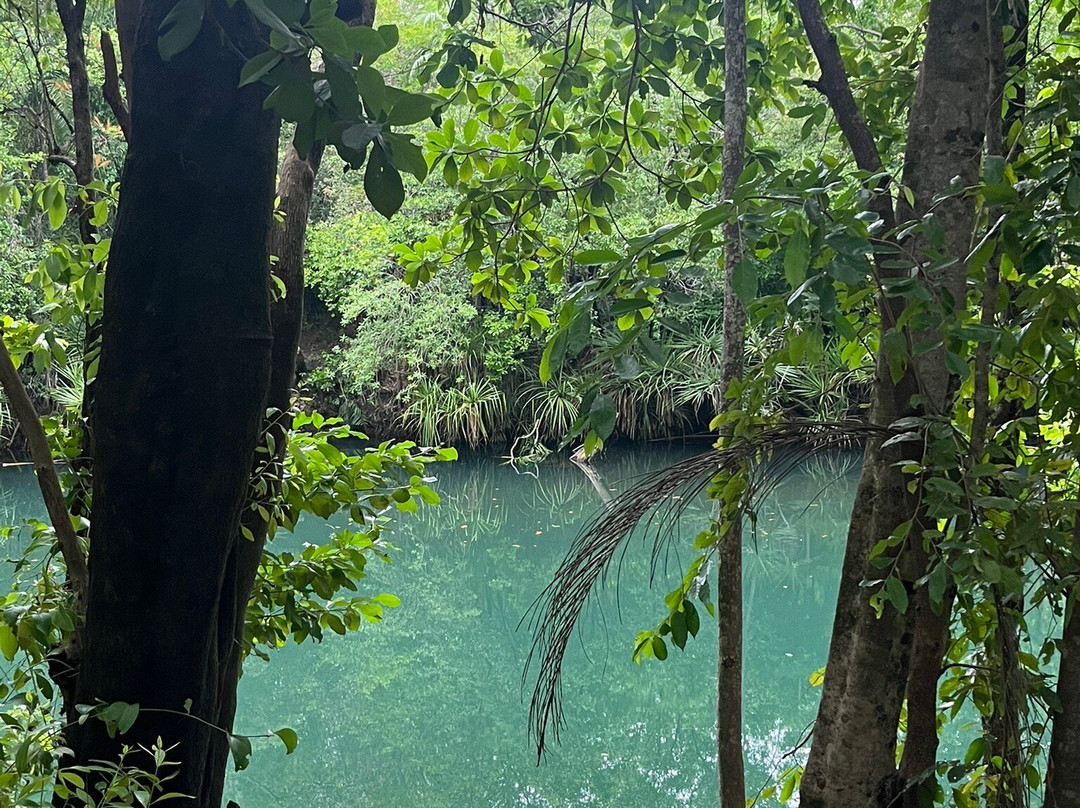 Berry Springs Nature Park-达尔文市必去景点