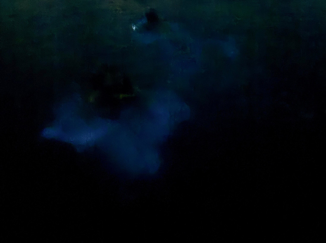 Parguera Eco Tours and Bio Bay-La Parguera必去景点