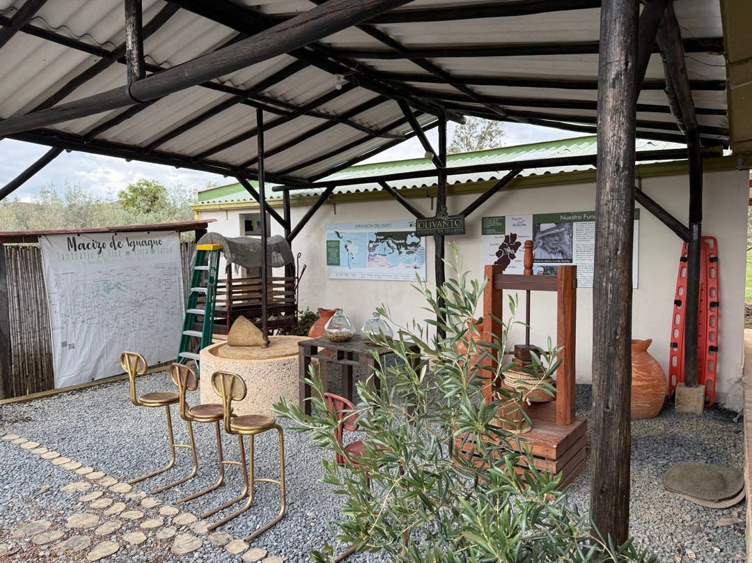 Huerto Olivanto-莱瓦镇必去景点