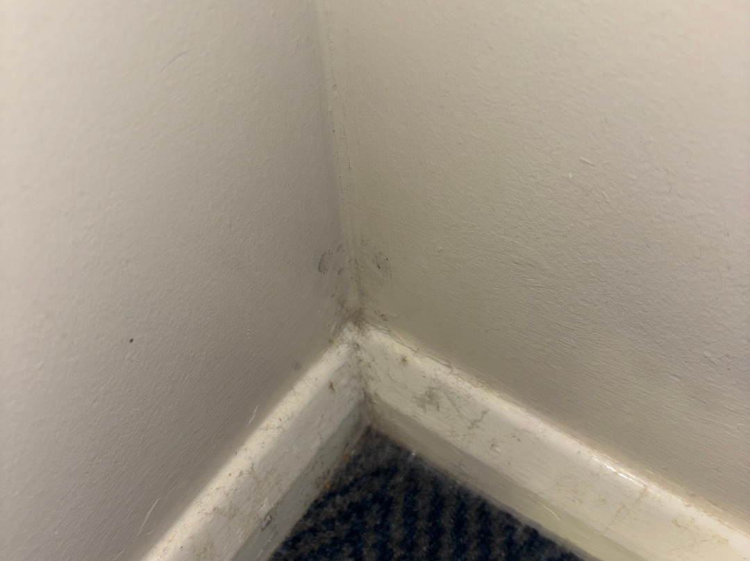 Travelodge Burton A38 Southbound主图