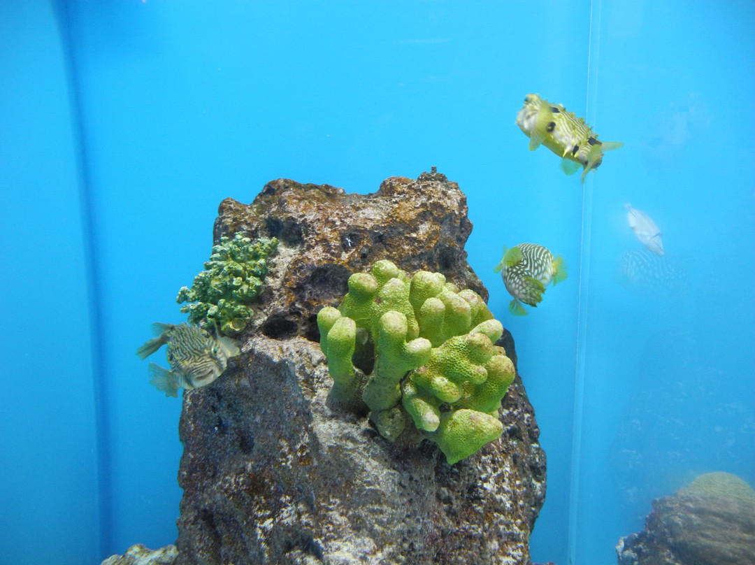 Kaikyokan-下关市必去景点