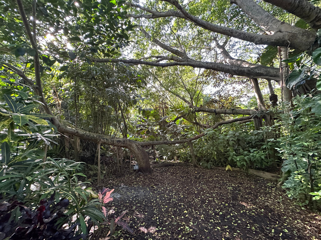 Deerfield Beach Arboretum-迪尔菲尔德比奇必去景点