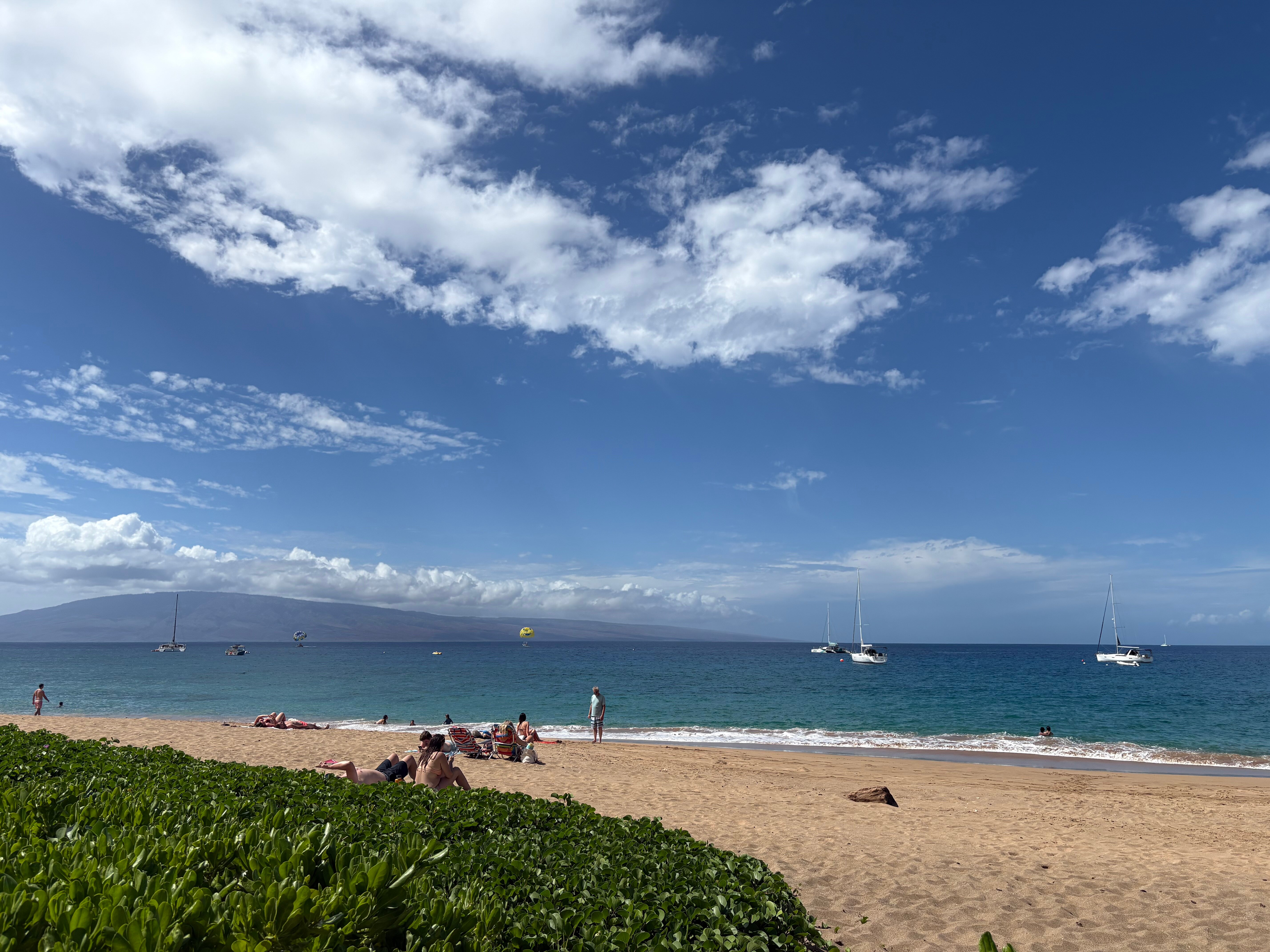 卡纳帕里海滩酒店-官方