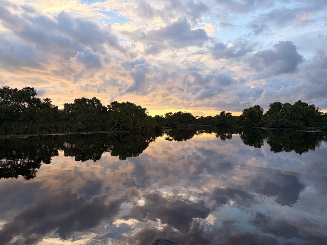 Kalametiya Bird Watching & Ecotourism-Kalametiya必去景点