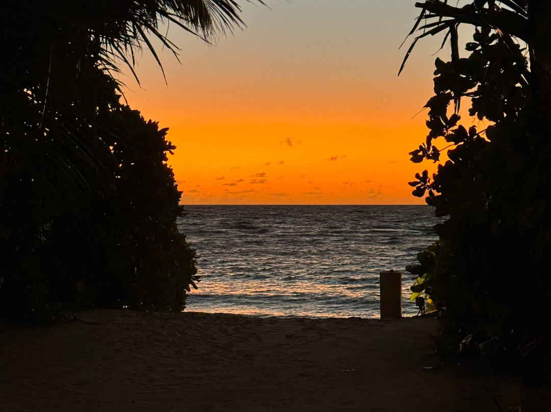 The Residence Maldives at Dhigurah主图