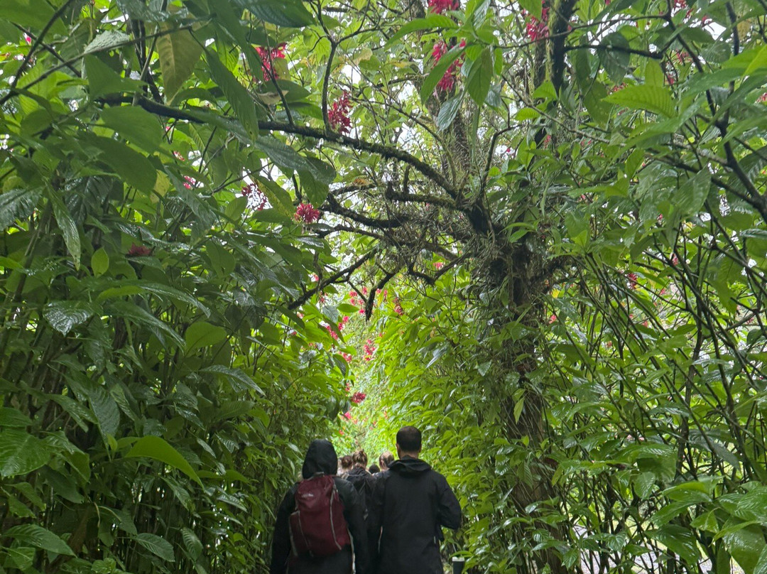 North Fields Coffee And Chocolate Tours-福德圣卡洛斯必去景点