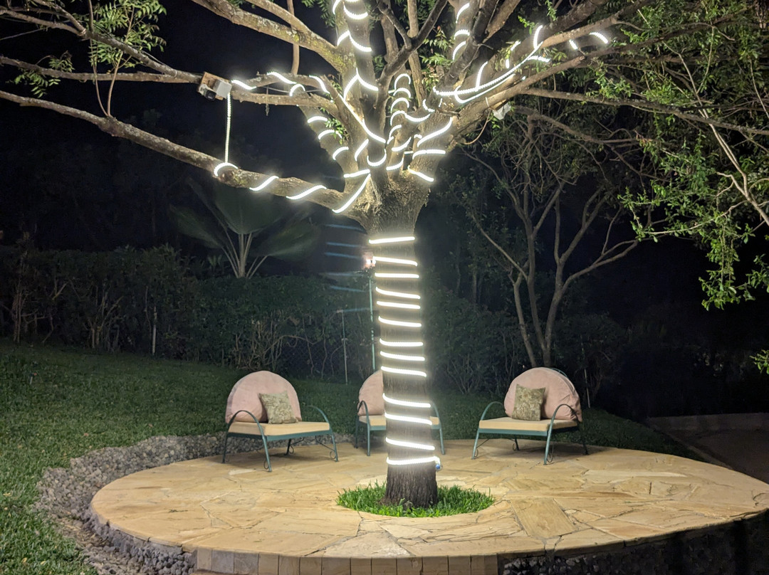 Pink Flamingo Boutique Hotel主图