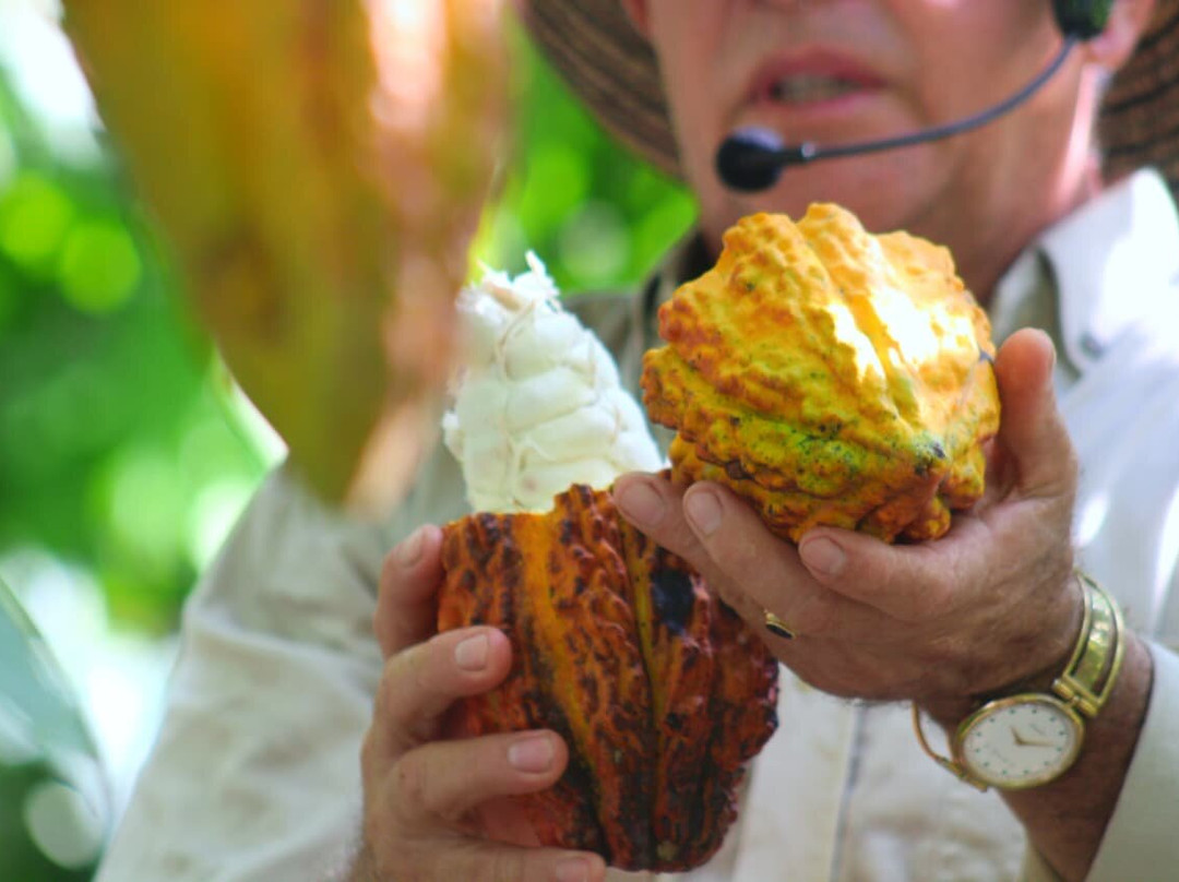 Cacao Celiza-Villanueva必去景点