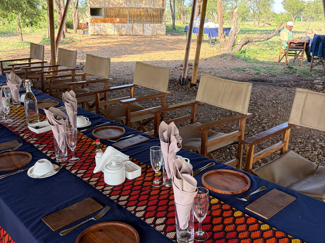 Nyssa Balloon Safaris-Seronera必去景点