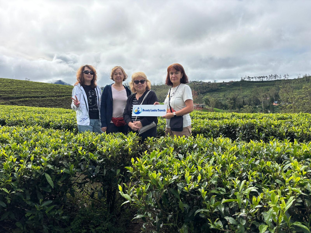 Beauty Lanka Travels-科伦坡必去景点