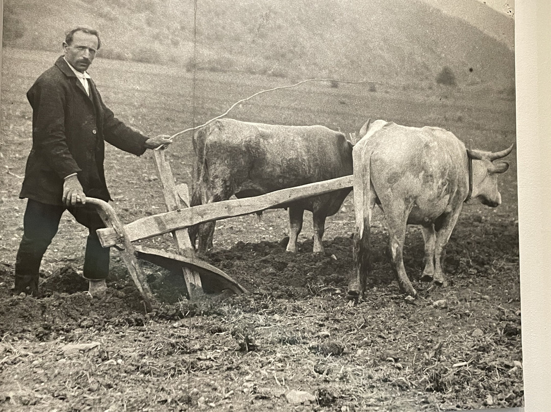 Ethnographic Museum-贝尔格莱德必去景点