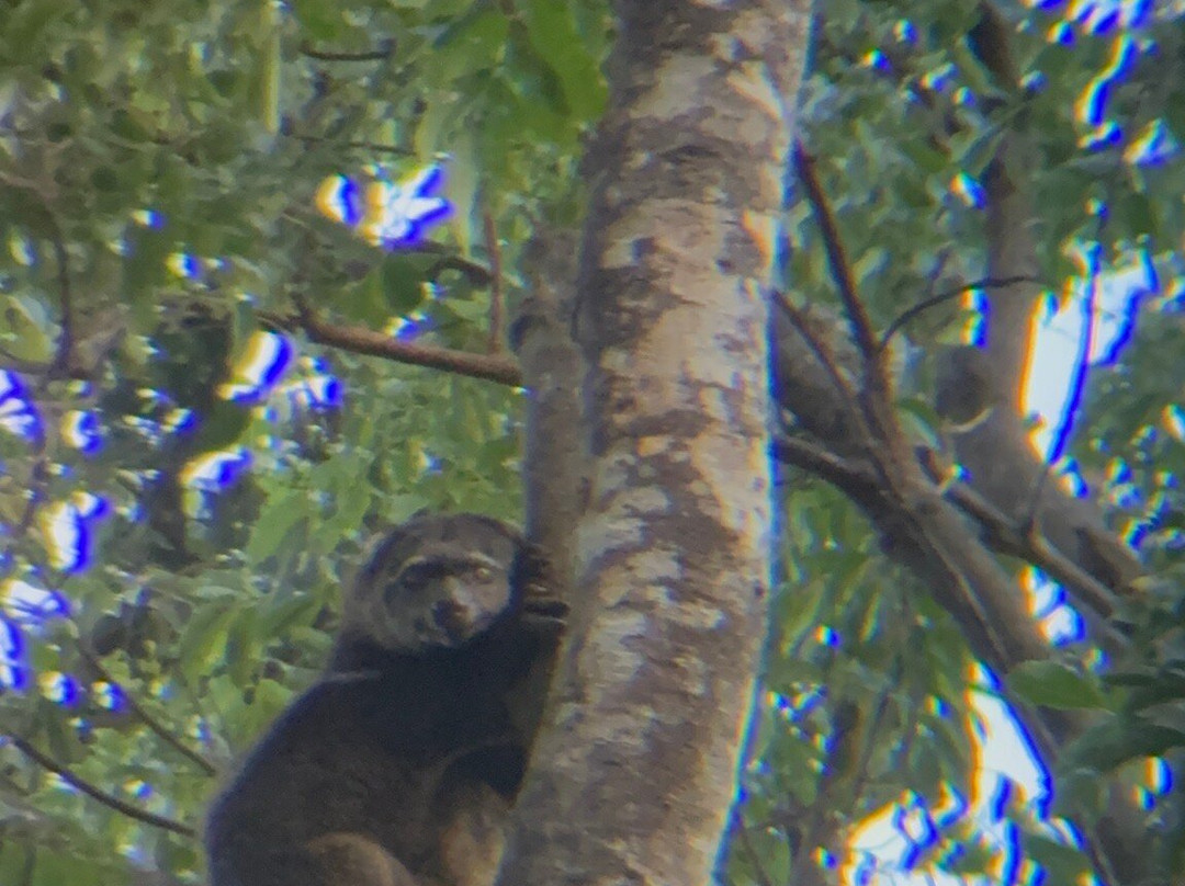 Safari Tours & Travel-万鸦老必去景点