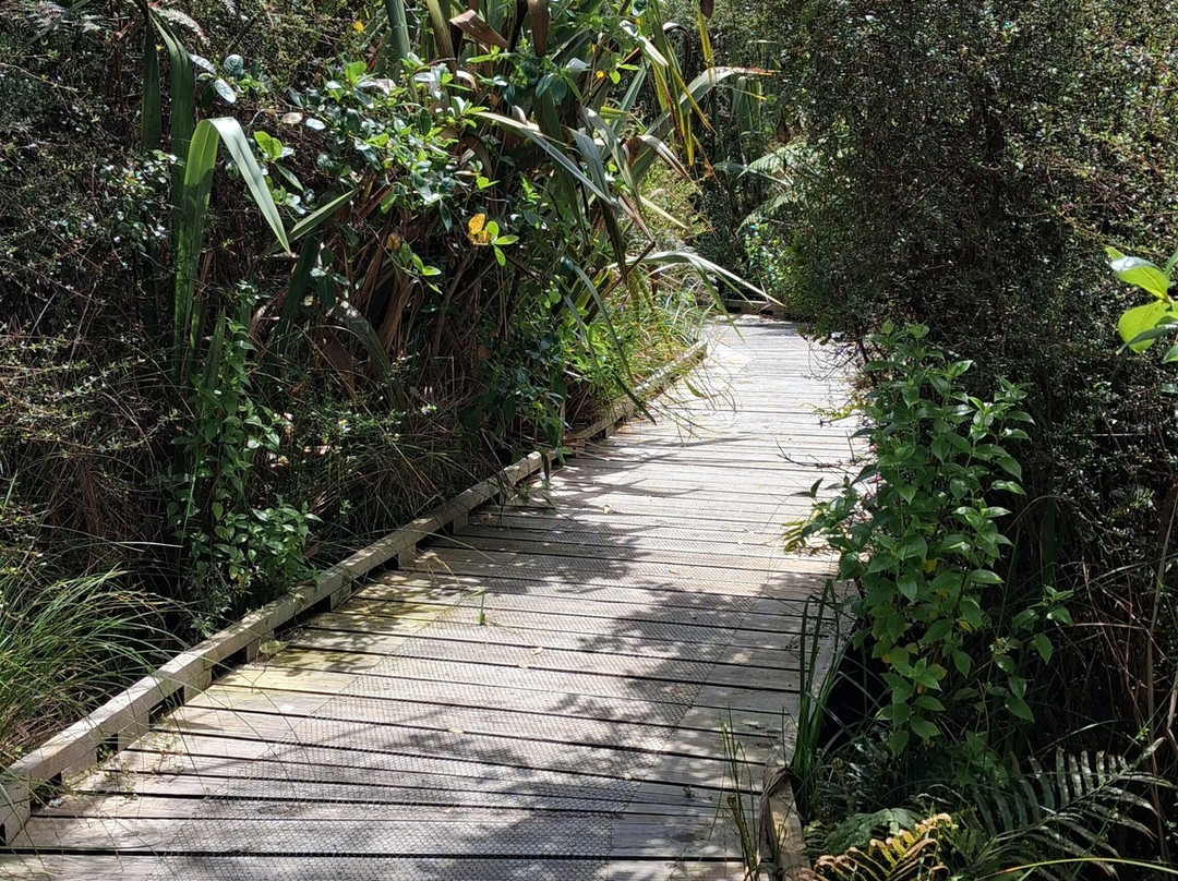 Ngā Manu Nature Reserve-怀卡尼必去景点