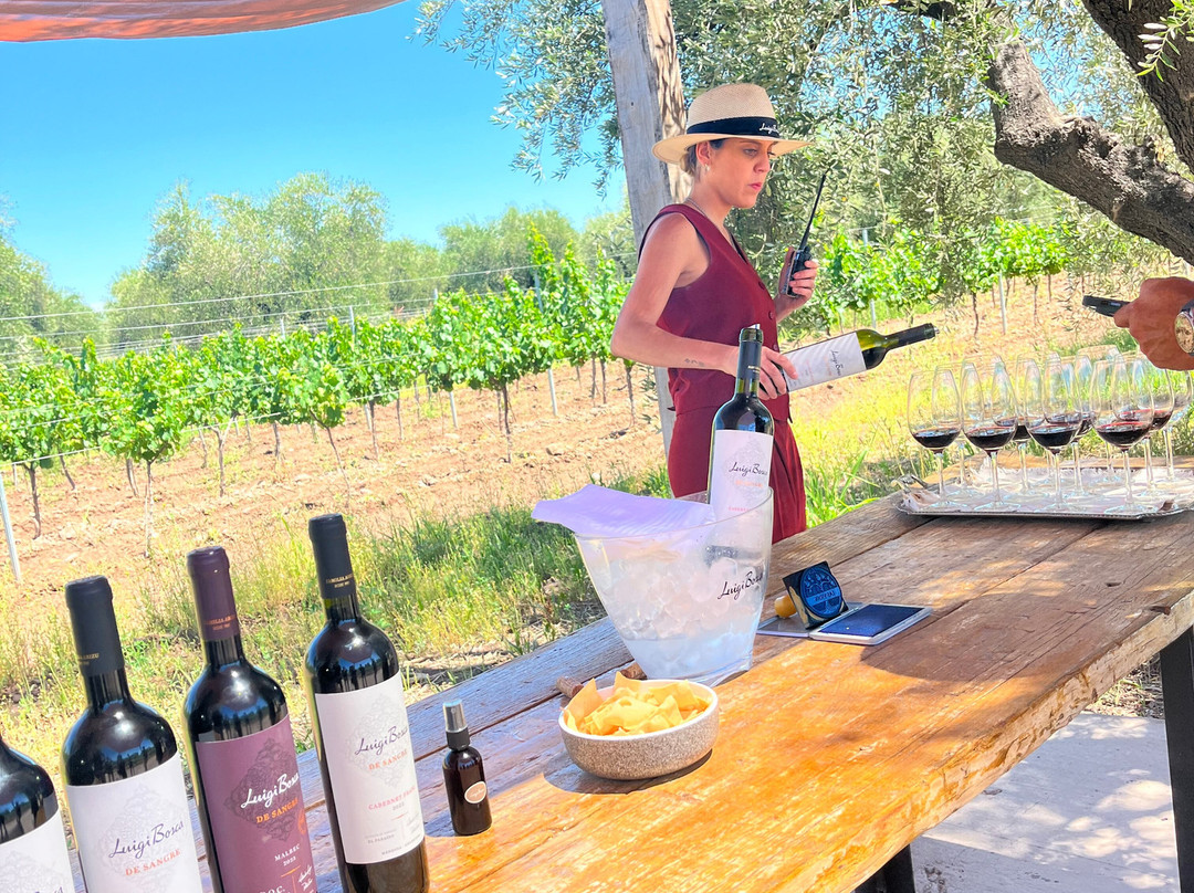 Finca El Paraíso - Bodega Luigi Bosca-Maipu必去景点