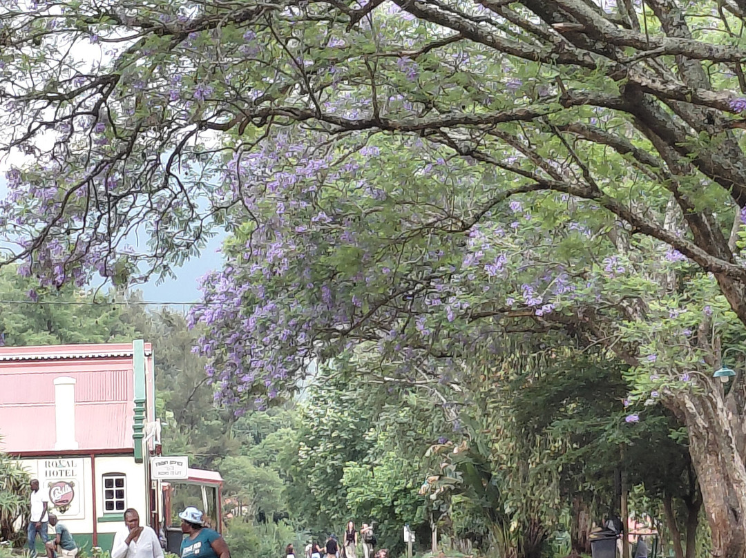 Kamaroutes travel Designers-Johannesburg South必去景点