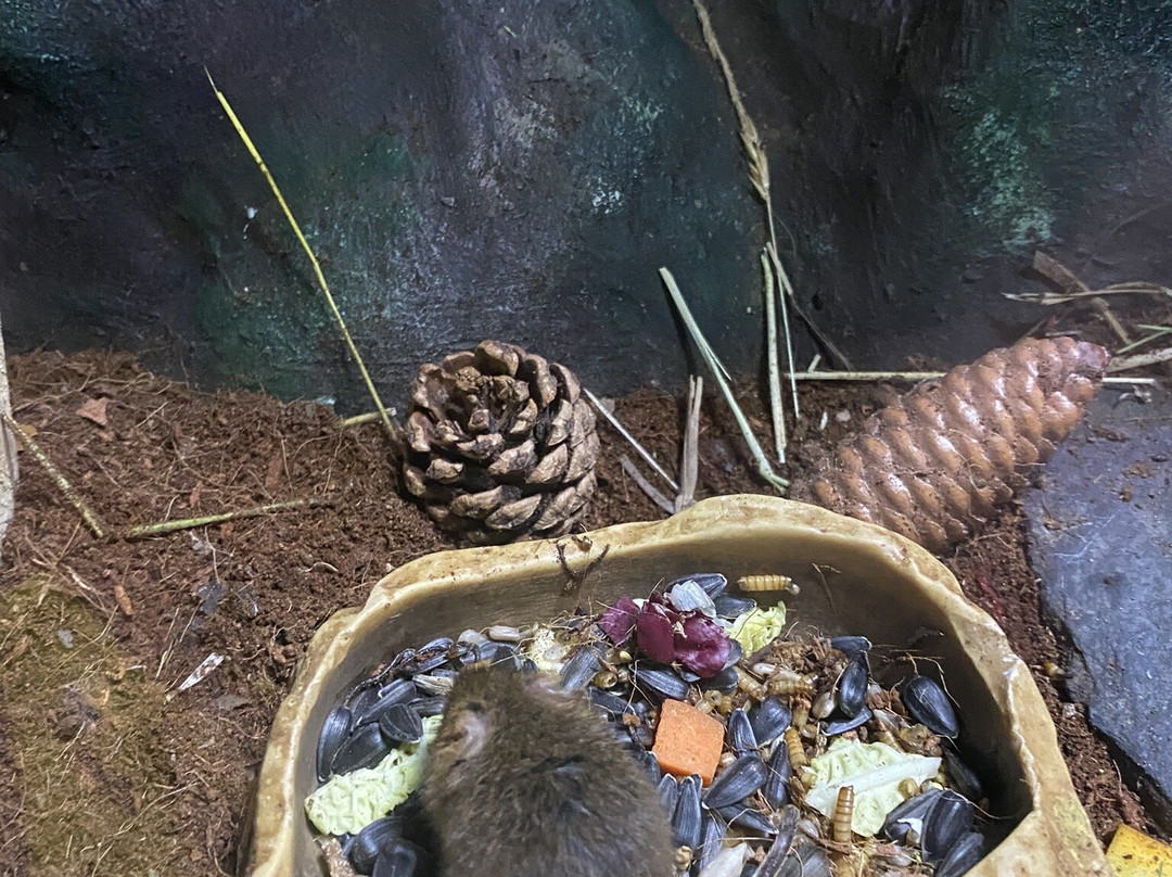 Lakes Aquarium-Newby Bridge必去景点