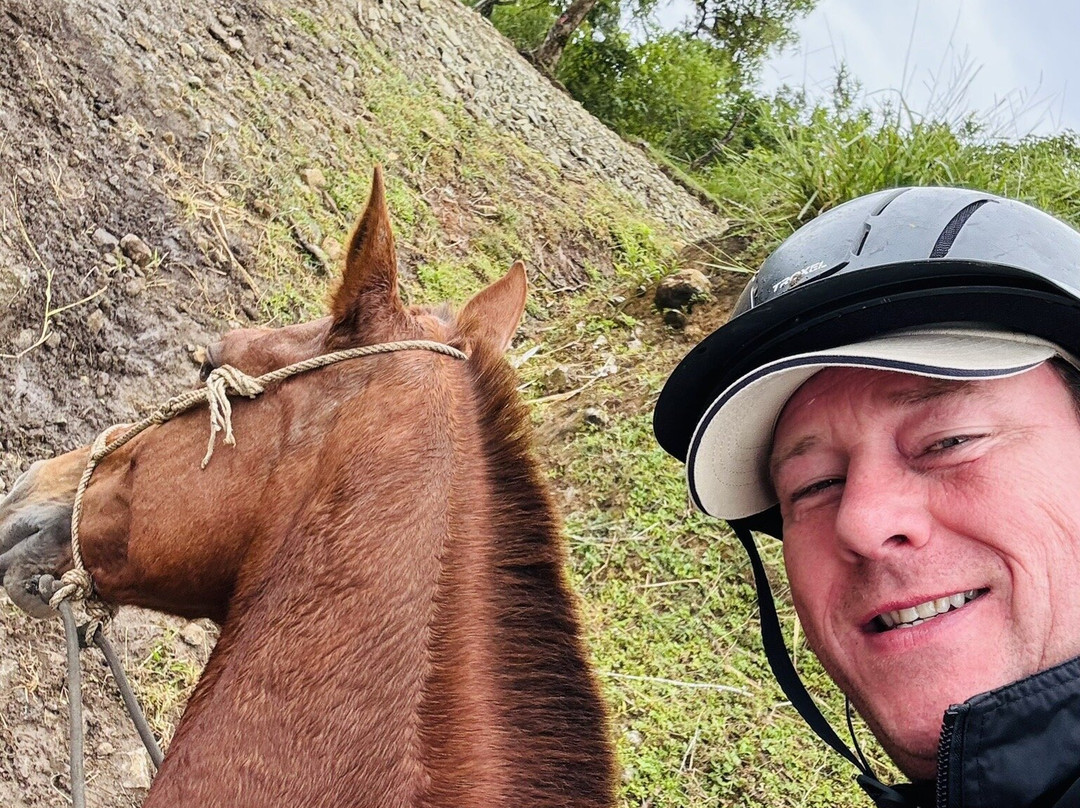 Equus Monteverde-Alto Cebadilla必去景点