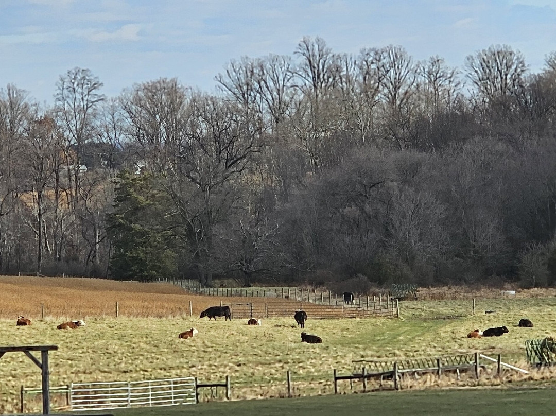 Grimmel Farms, Inc.-Jarrettsville必去景点