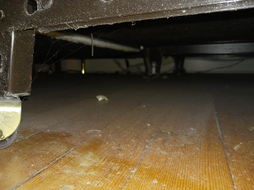 Stone Maiden Inn主图