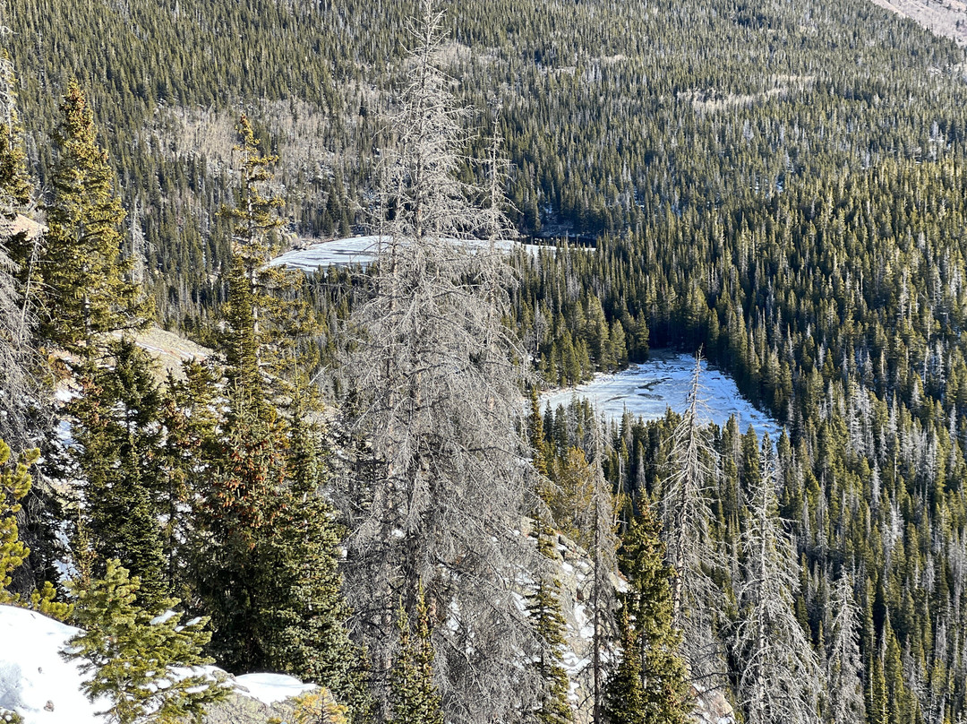 Rocky Mountain National Park