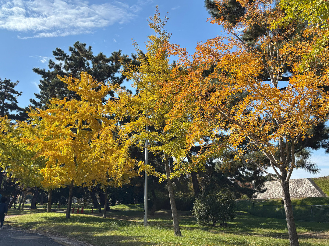 Hamadera Park-坂井市必去景点