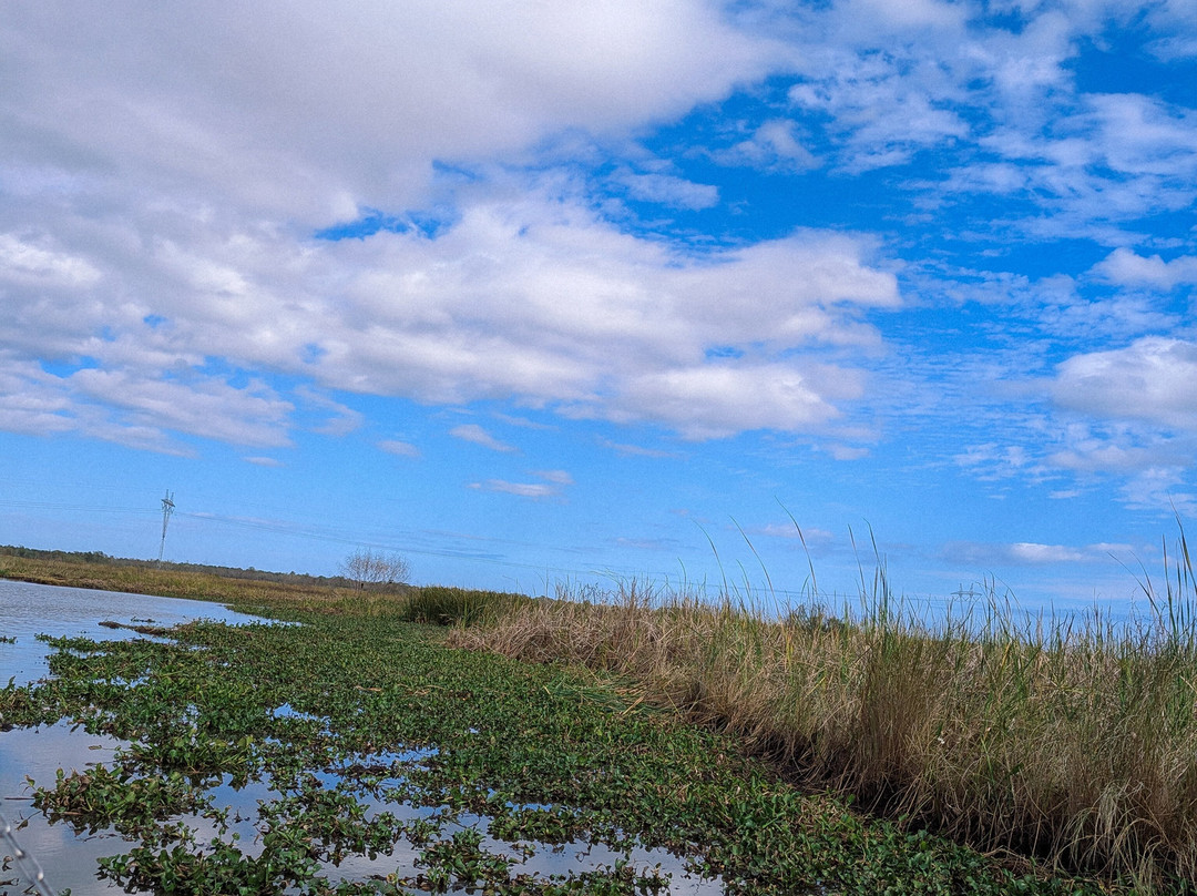 New Orleans Airboat Tours-Marrero必去景点