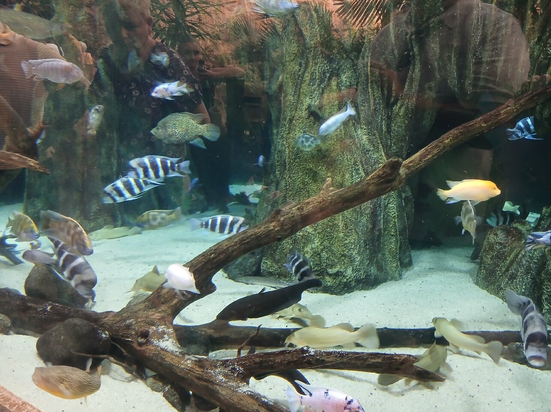 Poema Del Mar-大加那利岛拉斯帕尔马斯必去景点