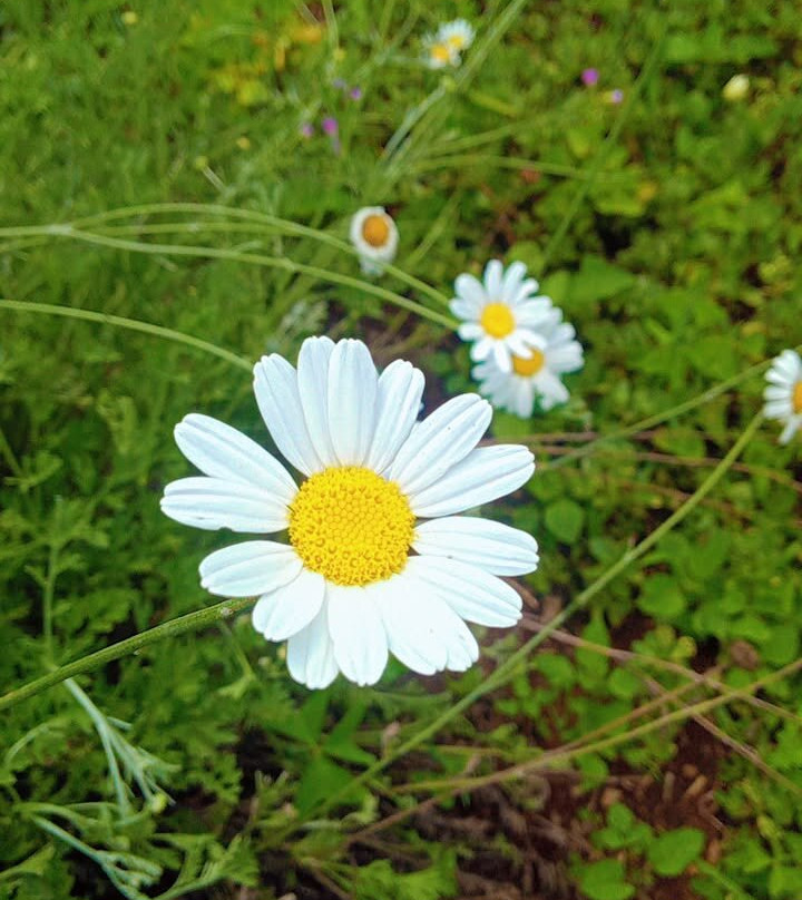 Sensory Garden Kenya-黎木鲁必去景点