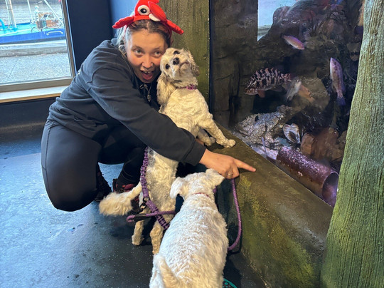 Marine Discovery Centre & Whitby Lobster Hatchery-惠特比必去景点