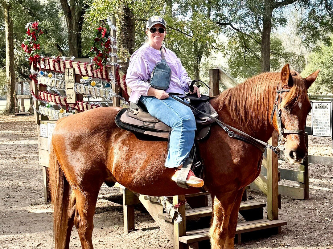 Canyons Zip Line & Canopy Tours-奥卡拉必去景点