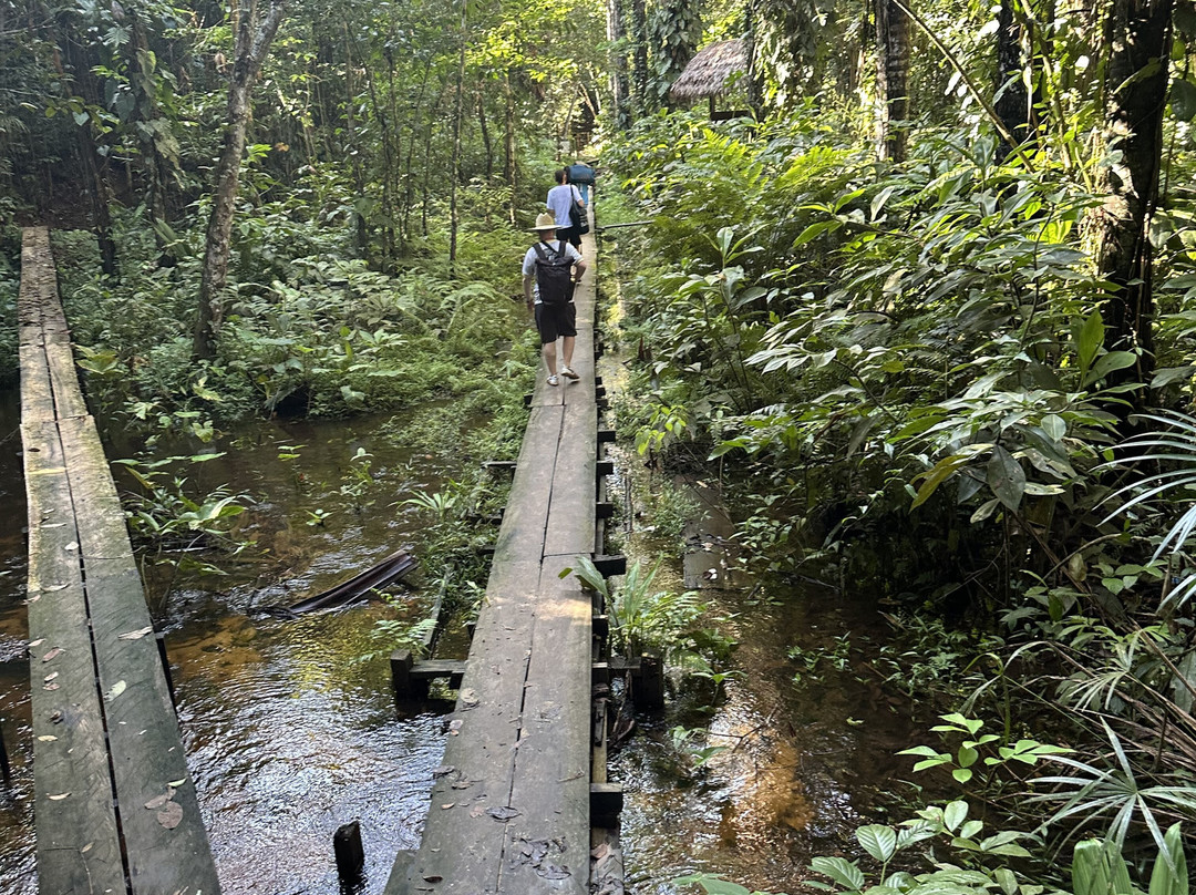 Psychonauta Foundation-伊基托斯必去景点