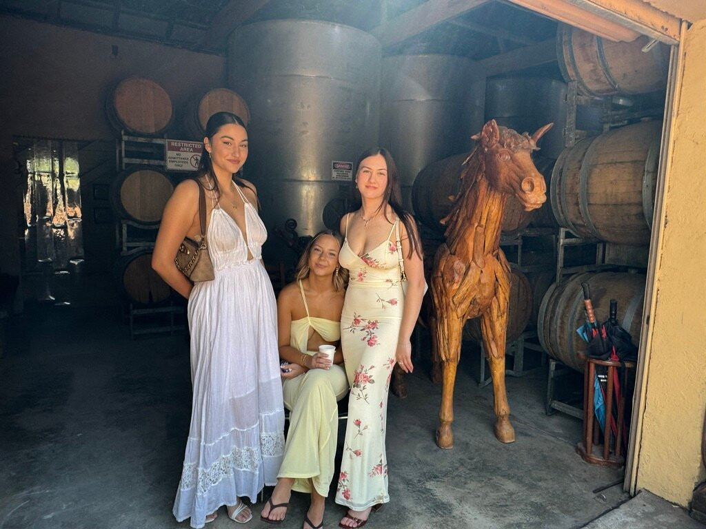 Jadran Wines-Orange Grove必去景点