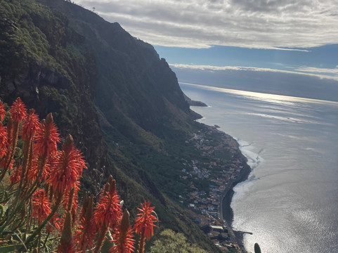 SafariCo-马德拉群岛必去景点