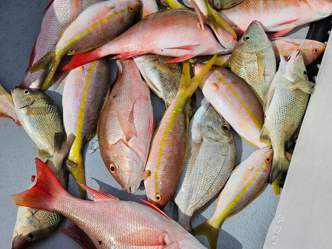 Expert Fishing Charters-朱庇特必去景点